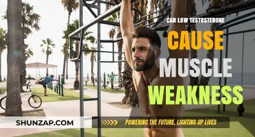 Testosterone and Muscle Weakness: Is There a Link?