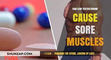 Low Testosterone and Sore Muscles: Is There a Link?