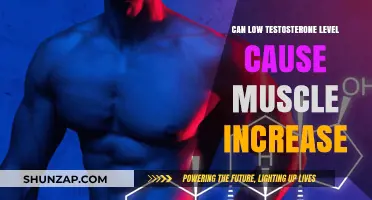 Testosterone and Muscle Gain: What's the Link?