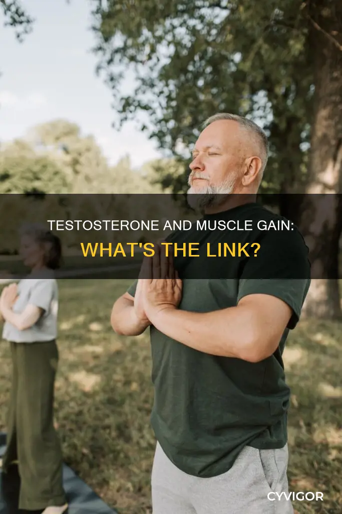 can low testosterone level cause muscle increase