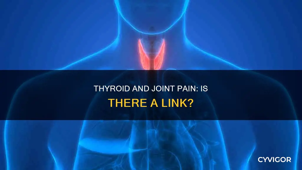 can low thyroid cause joint and muscle pain
