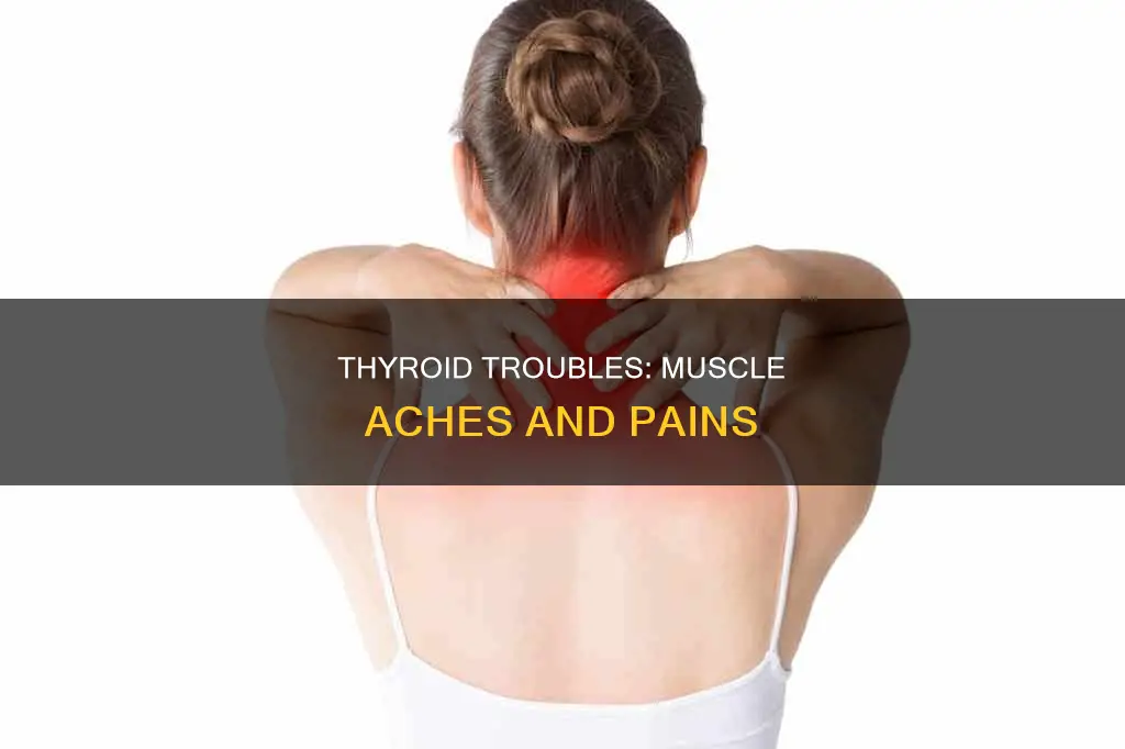 can low thyroid cause muscle aches