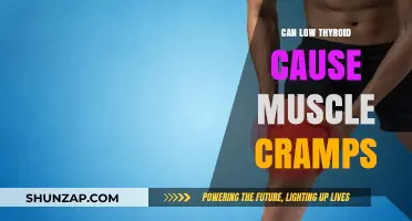 Thyroid and Muscle Cramps: What's the Link?
