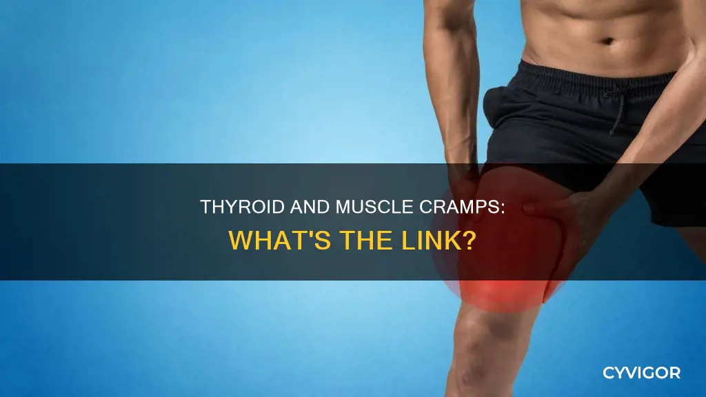 can low thyroid cause muscle cramps