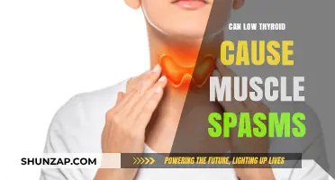 Thyroid Troubles: Muscle Spasms and Underactive Thyroid