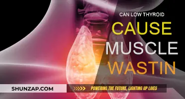 Thyroid Issues: Muscle Wasting and Your Health