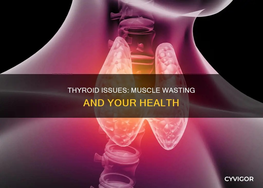can low thyroid cause muscle wasting
