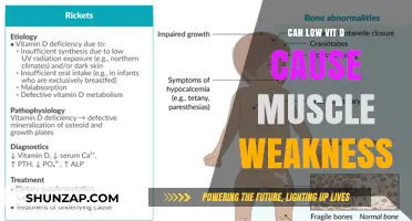 Low Vitamin D: A Culprit Behind Muscle Weakness?