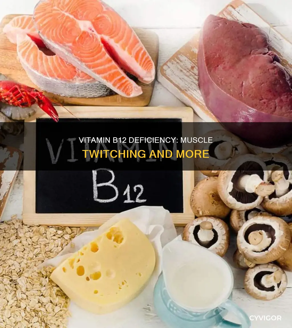 can low vitamin b12 cause muscle twitching