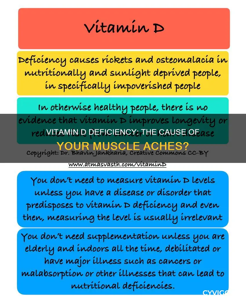 can low vitamin d cause muscle aches