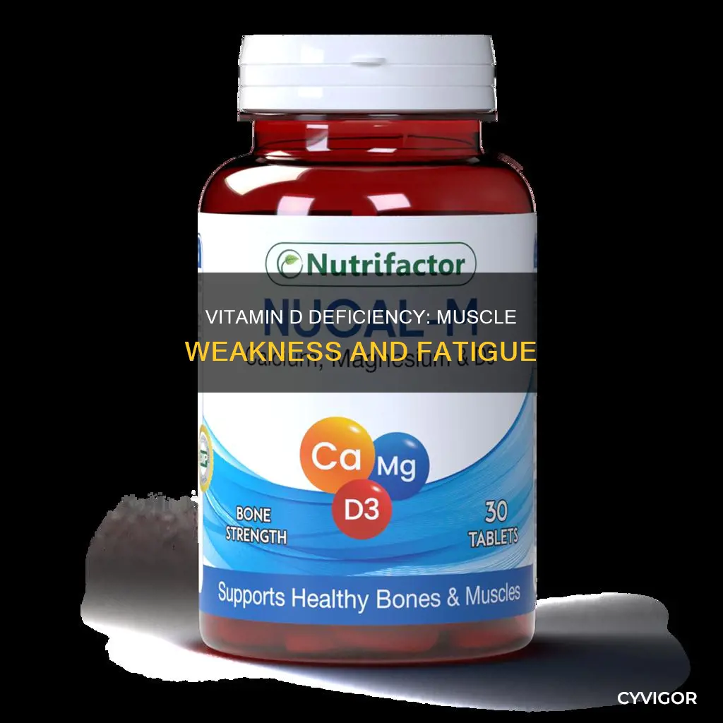 can low vitamin d cause muscle weakness