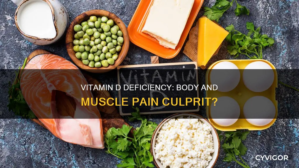 can low vitamind cause body and muscle pain