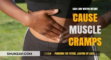 Hydration and Muscle Cramps: Is There a Link?