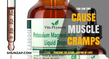 Zinc Deficiency: A Cause of Muscle Cramps?