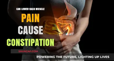 Back Pain and Constipation: Is There a Link?