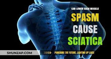 Back Muscle Spasms: A Cause of Sciatica?