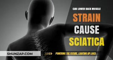 Back Muscle Strain and Sciatica: What's the Link?