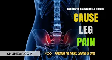 Lower Back Muscle Strains: Leg Pain Culprit?
