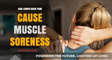 Back Pain and Muscle Soreness: What's the Link?