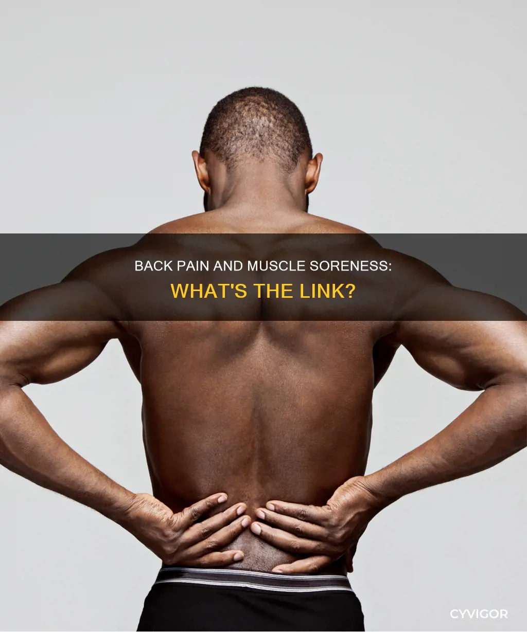 can lower back pain cause muscle soreness