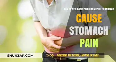 Pulled Muscle Pain: From Back to Belly