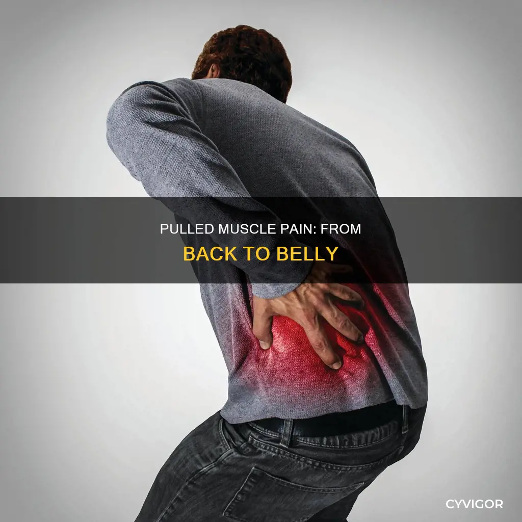 can lower back pain from pulled muscle cause stomach pain