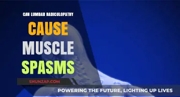 Lumbar Radiculopathy: The Link to Muscle Spasms