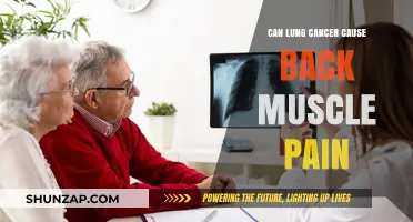 Lung Cancer: Back Pain and Muscle Aches