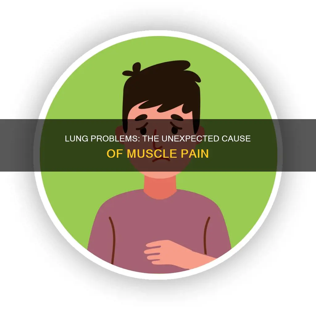 can lung problems cause muscle pain