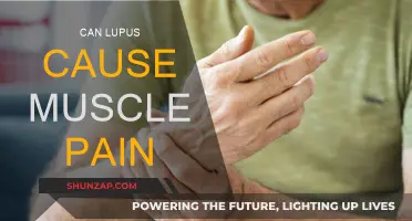 Lupus and Muscle Pain: Understanding the Connection