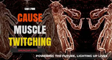 Lyme Disease: Muscle Twitching Explained