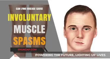 Lyme Disease and Muscle Spasms: What's the Link?