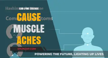 Lyme Disease: Muscle Aches and Pains Explained