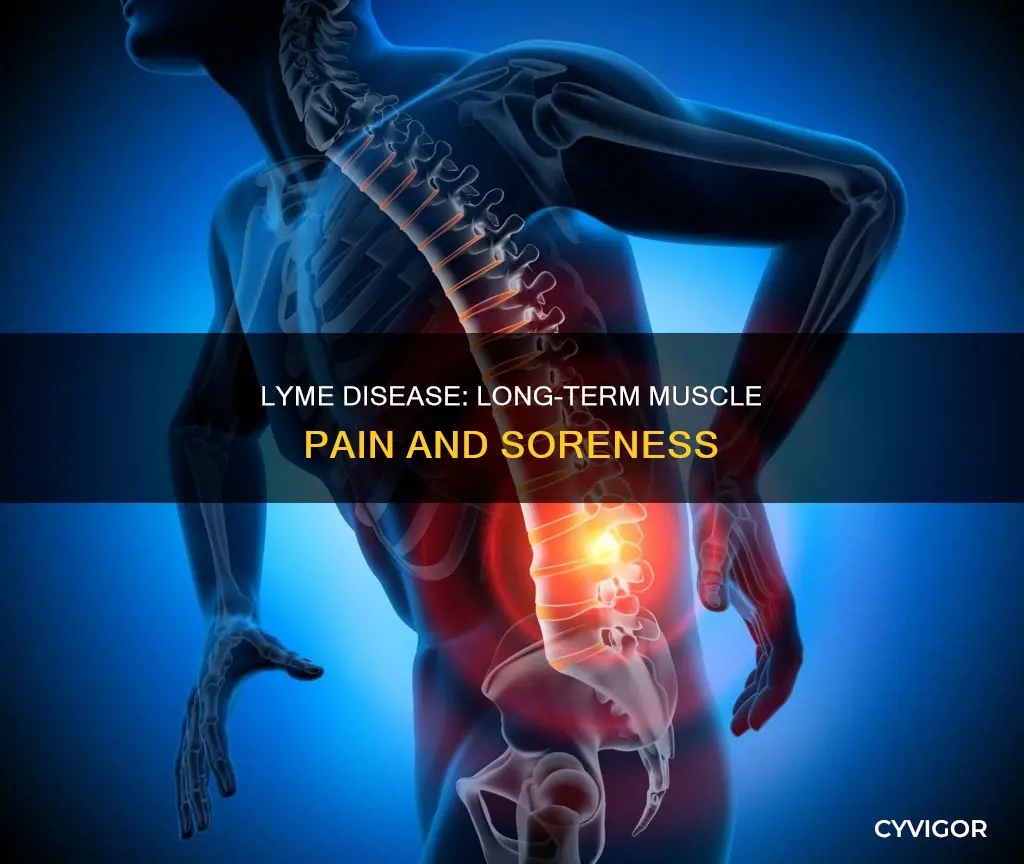 can lymedisease cause extreme soreness in muscles two years later