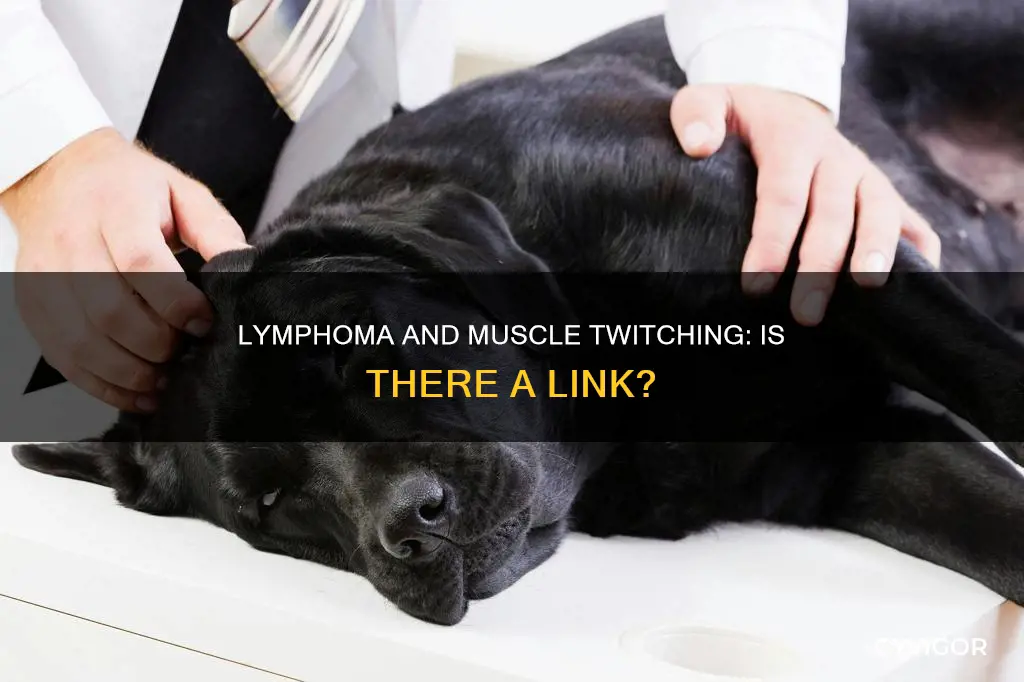 can lymphoma cause muscle twitching