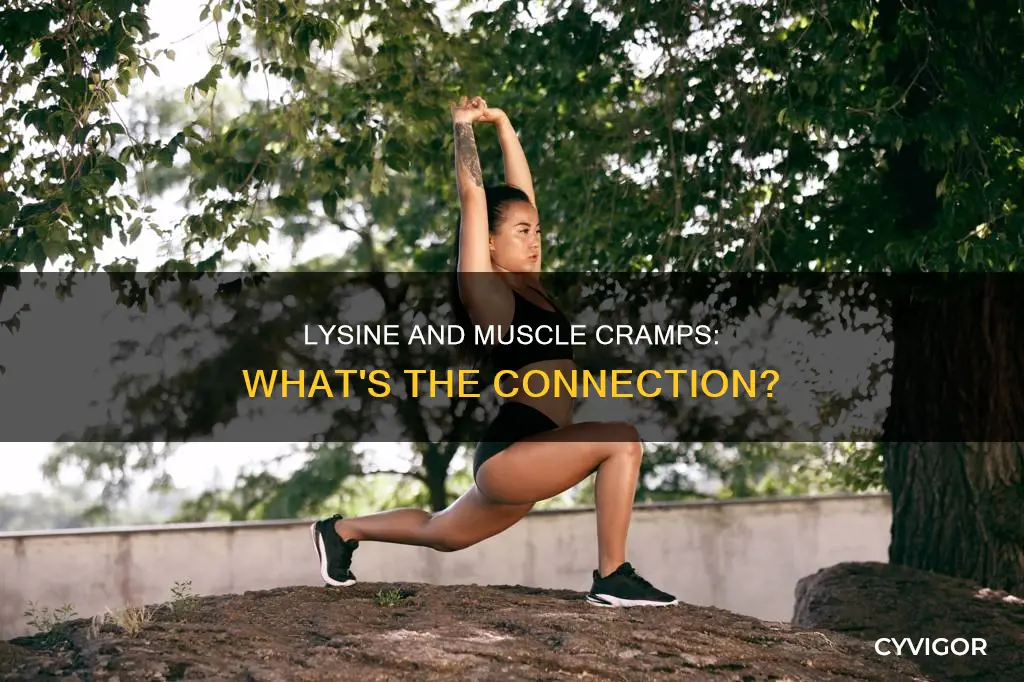 can lysine cause muscle cramps