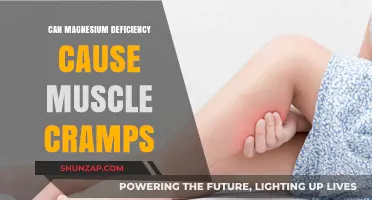 Magnesium Deficiency: A Cause of Muscle Cramps?