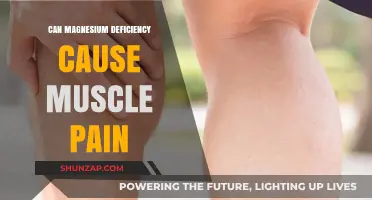 Magnesium Deficiency: The Cause of Your Muscle Pain?