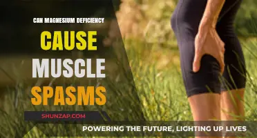 Magnesium Deficiency: The Link to Muscle Spasms