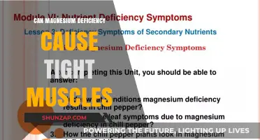 Magnesium Deficiency: The Cause of Your Tight Muscles?