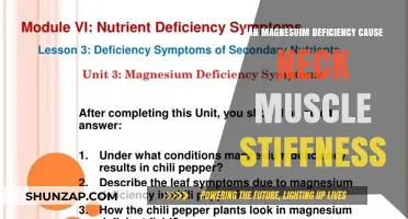 Magnesium Deficiency: A Cause of Neck Muscle Stiffness?