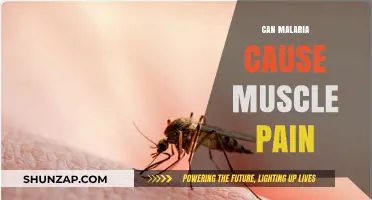 Malaria's Muscle Pain: Understanding the Link