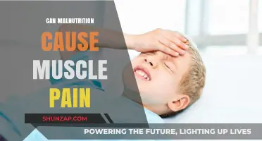 Malnutrition's Link to Muscle Pain and Discomfort