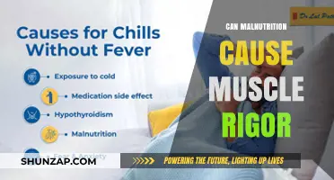 Malnutrition's Impact: Muscle Rigor and Body Wellness