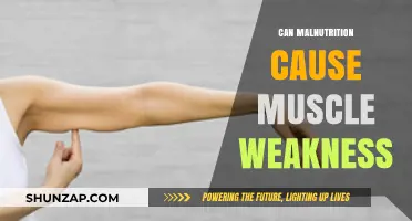Malnutrition's Impact: Muscle Weakness and Fatigue