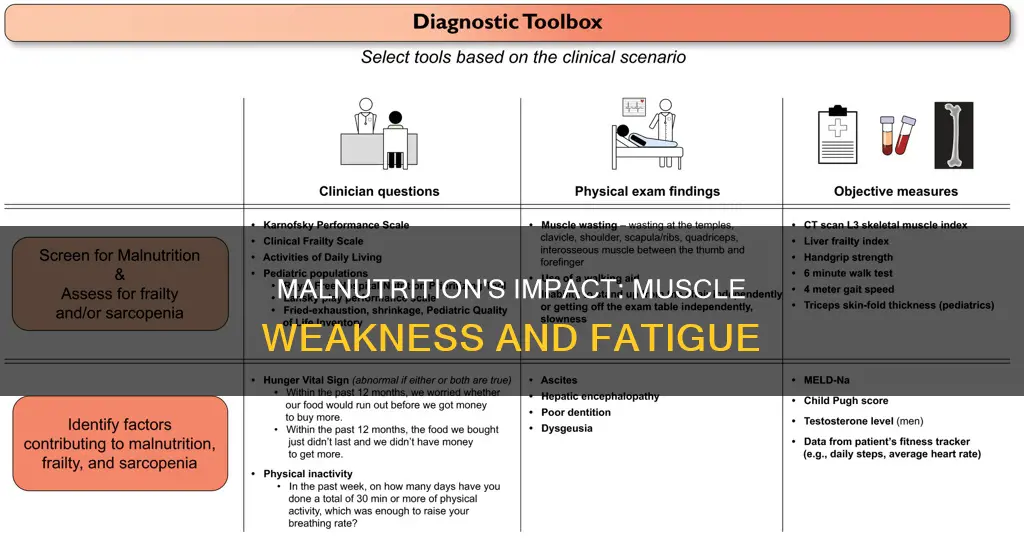 can malnutrition cause muscle weakness
