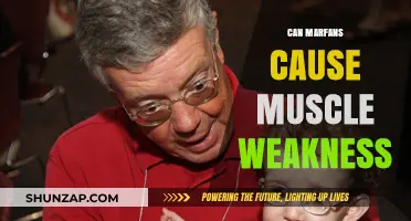 Marfan Syndrome: Muscle Weakness and Its Link