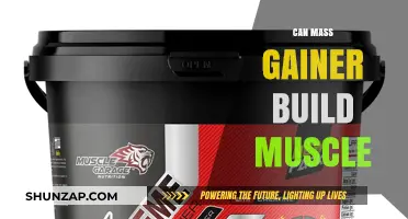 Can Mass Gainer Build Muscle? Facts, Benefits, and Best Practices