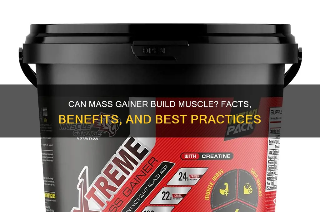 can mass gainer build muscle