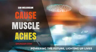 Meloxicam: Understanding Its Link to Muscle Aches and Pains